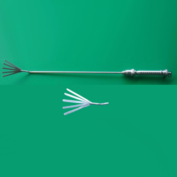 974306_ac2885b88b7444a696ab541ad