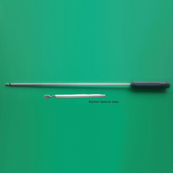 974306_cc2be4bce2ea4a5fa92aaa9bb